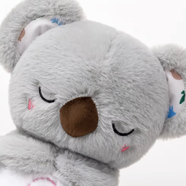 Liamori | Koala che respira